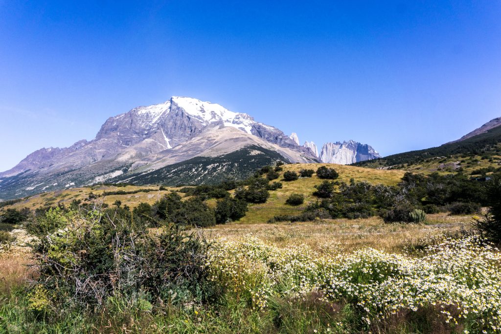 Trekking w Torres del Paine - nieprawdopodobna natura